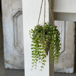 Hanging Basket